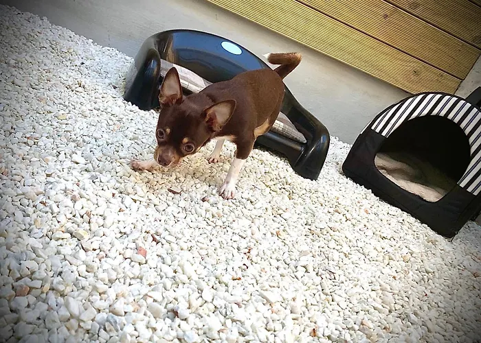 Maison d'hôtes Glass Cube